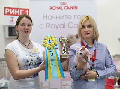 �������� ����� 11-12 ������ 2015 WCF-����� 7-151-169A4330 copy.jpg